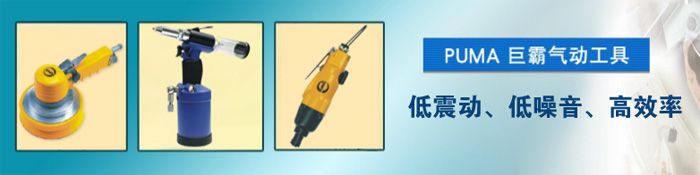 PUMA巨霸气动工具