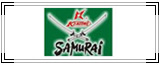 日本神泽牌手工具.园艺手工具