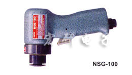 NSG-100